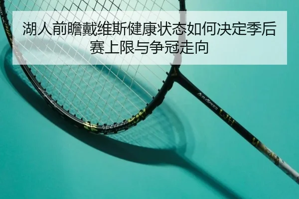 湖人前瞻戴维斯健康状态如何决定季后赛上限与争冠走向